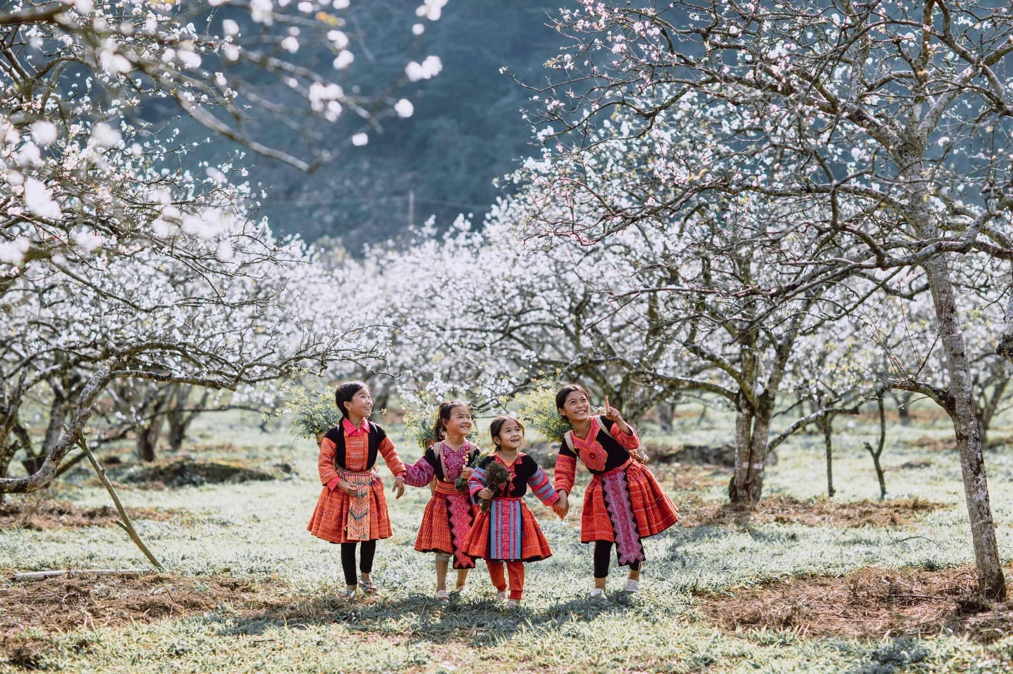 BEST TIME TO VISIT VIETNAM: REGIONAL WEATHER & MONTHLY GUIDE