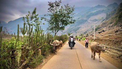 ⛰️TONKINESE COLORS: NORTHERN VIETNAM OVERLAND ODYSSEY (14 DAYS / 13 NIGHTS)